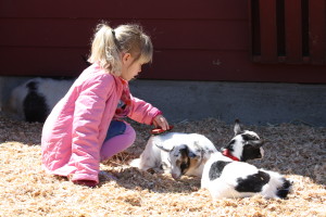 Hannah and Kate April 2011 066