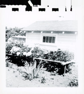 Photograph (53) 1955