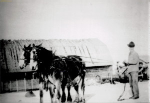 Dora Bjelke photograph 40